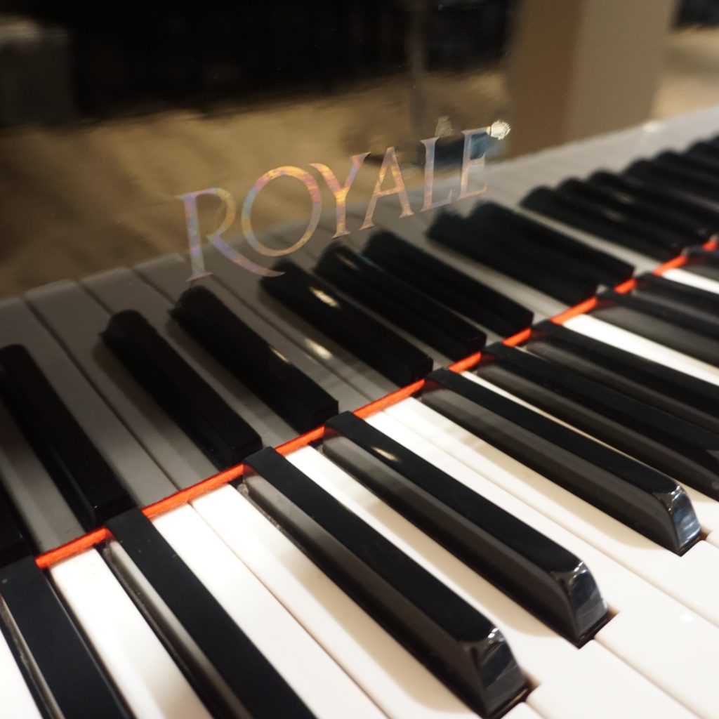 Royale RG2 – G025595 – Close up