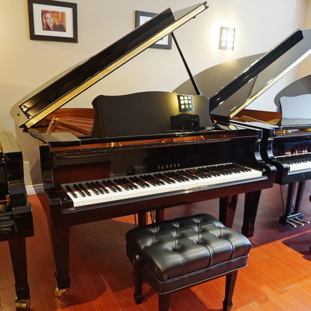 Yamaha C3L – 5906979 (1)