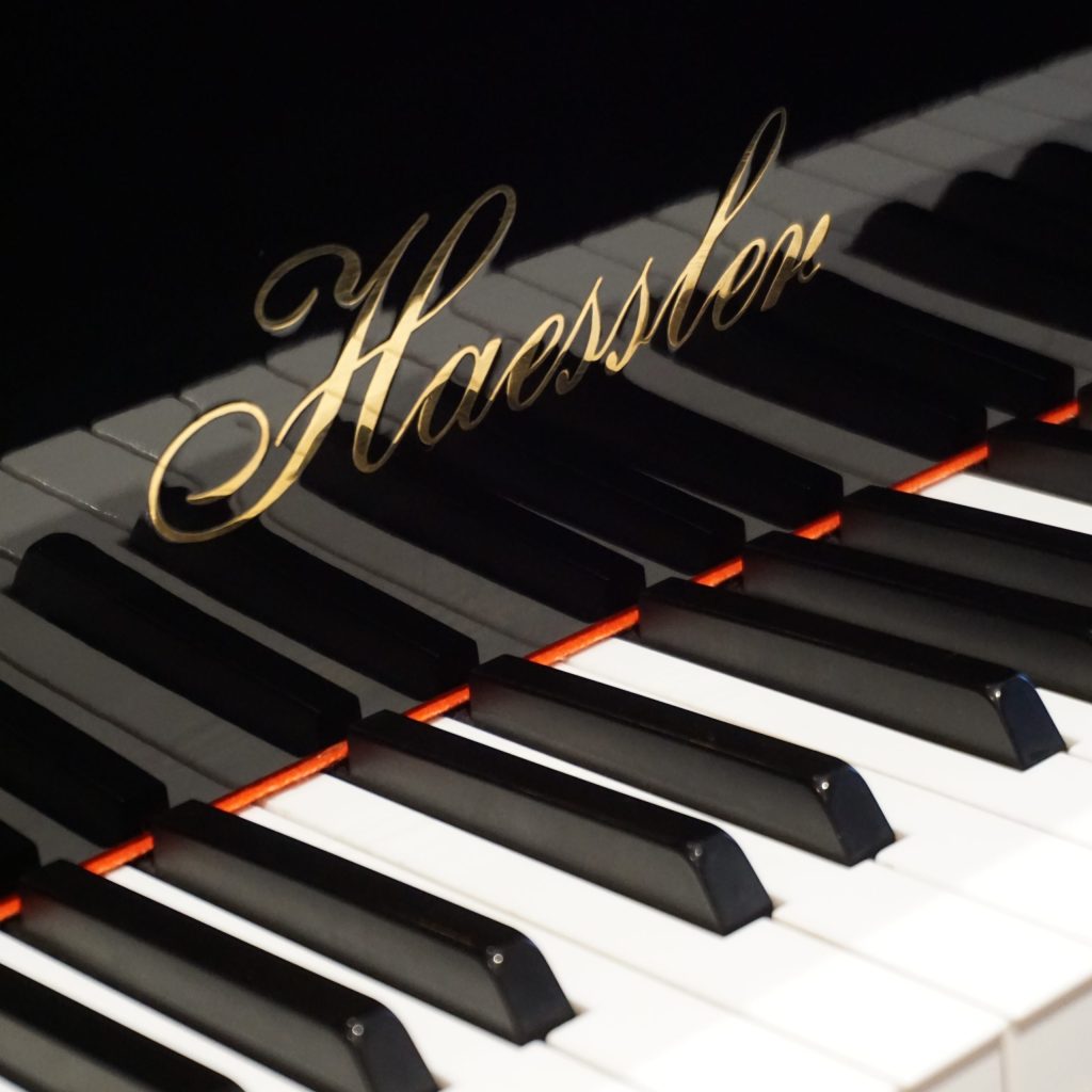 Haessler-H186-200993-Close-up-scaled-1.jpg